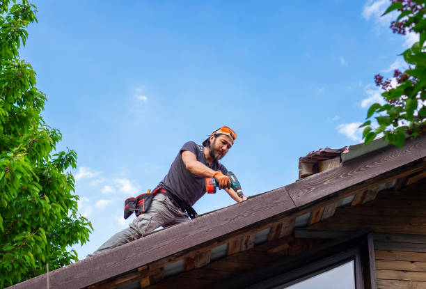 Best Roof Leak Repair  in Vernon, AL
