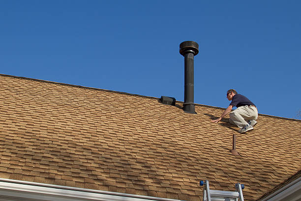 Best Solar Panel Roofing Installation  in Vernon, AL